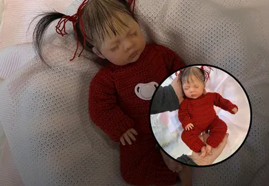 Você já viu algo tão realista quanto estes bebês reborn?